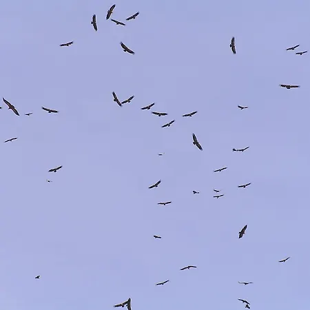 Hétvégi ház Mas De Nofre Peñarroya de Tastavins