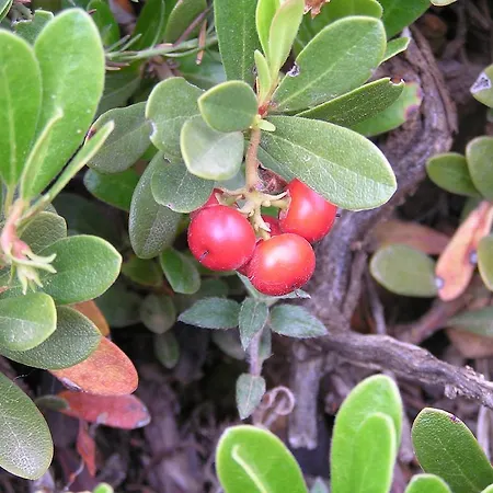 Hétvégi ház Mas De Nofre