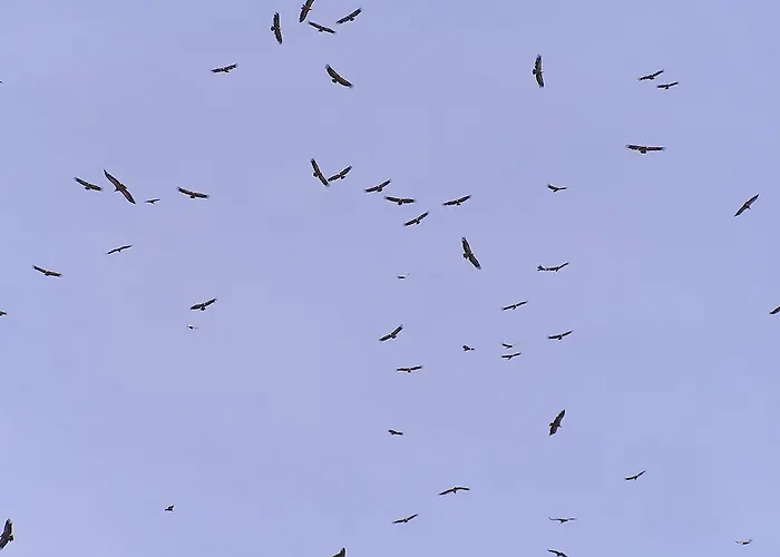 乡村民宿 Mas De Nofre Peñarroya de Tastavins